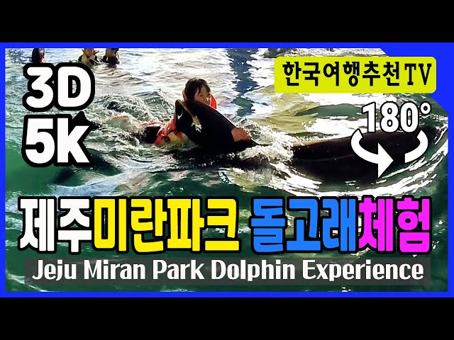 Jeju Miran Park Dolphin Experience