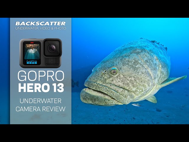 GoPro Hero 13 Black | Underwater Camera Review