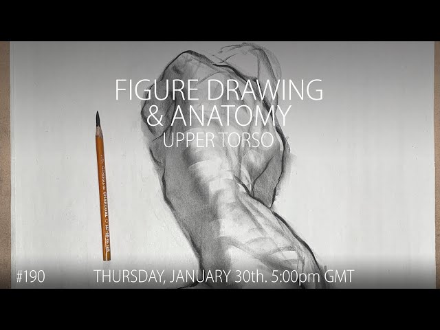 Figure Drawing - Upper Torso #190