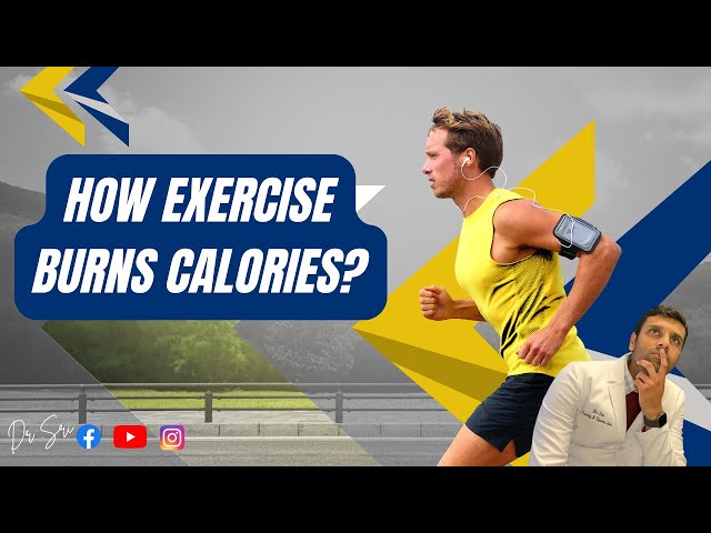 How Calories Are Burned During Exercise: Unlocking the Body's Various Energy Systems