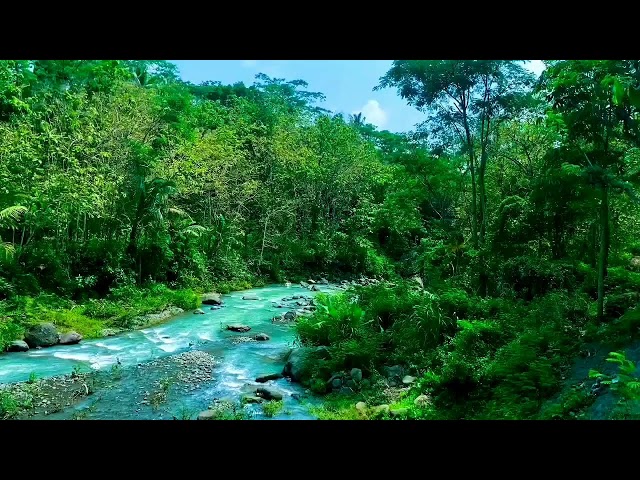 Water Sounds for stress relief,River Sounds for relaxation,Waterfall Sounds for Sleeping