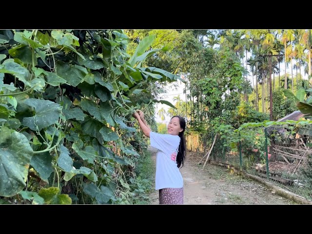 Yummy lunch with my family🥰| it’s all healthy and organic ✨🌿#tibetanvlogger #arunachal #food