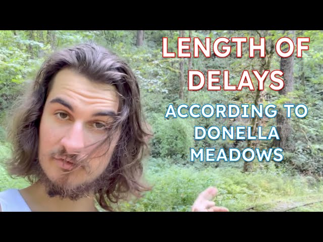 Leverage Point 9: Length of Delays || Systems Theory