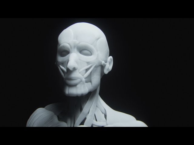 Code Orange - The Mud [OFFICIAL VIDEO]