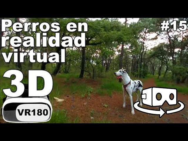 Perros en realidad virtual | Episodio #15