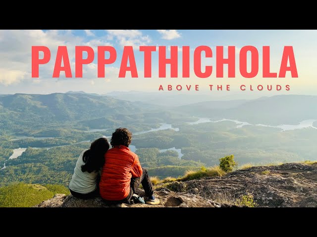 Best Sundet view of Munnar | Pappathichola Sunset | Famous spot of Munnar | പാപ്പാത്തിച്ചോല