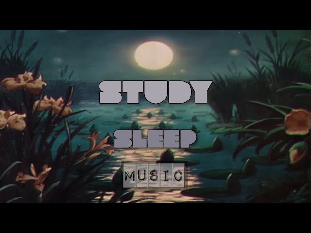 chilled out lofi music playlist / study, sleep & relaxation