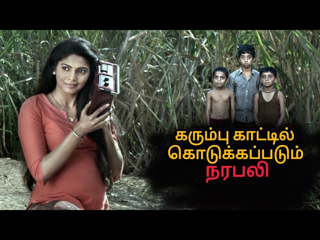 கரும்பு காட்டில் நடக்கும் சூனியங்கள் | Movie Explanation Tamil Voice Over | Mr Sakthi Voice Over