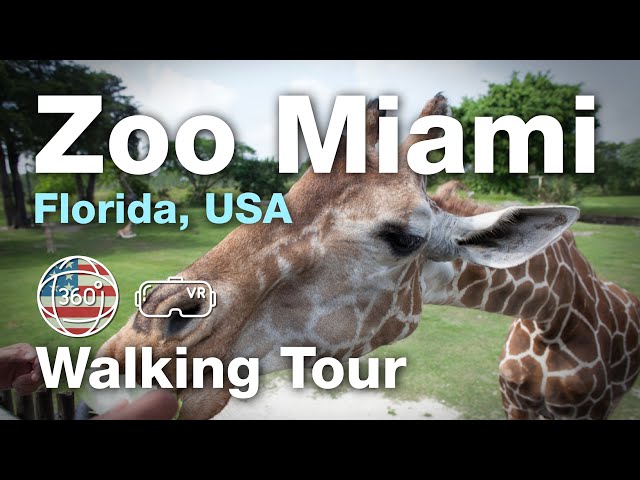 Miami, Florida, USA | 360° Walking Tour VR | Zoo Miami (2023)