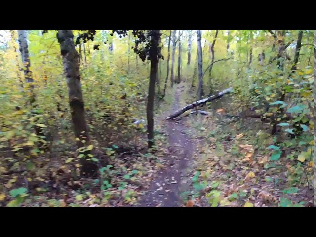 TRAIL GOATS VOL 2 - FALL RUNNING | ASMR RUNNING | RELAXING