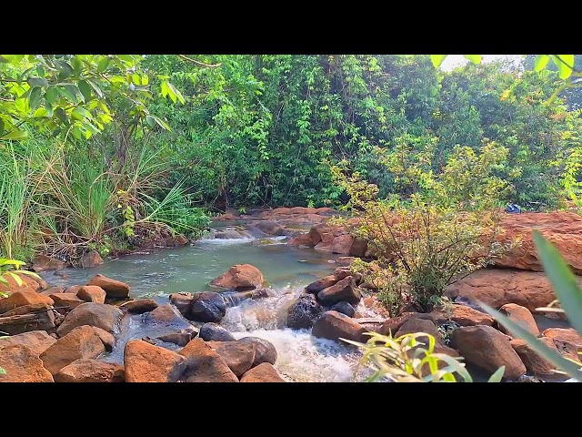 Clean Nature Ambience with Flowing Stream and Birds | Perfect Sounds for Stress Relief