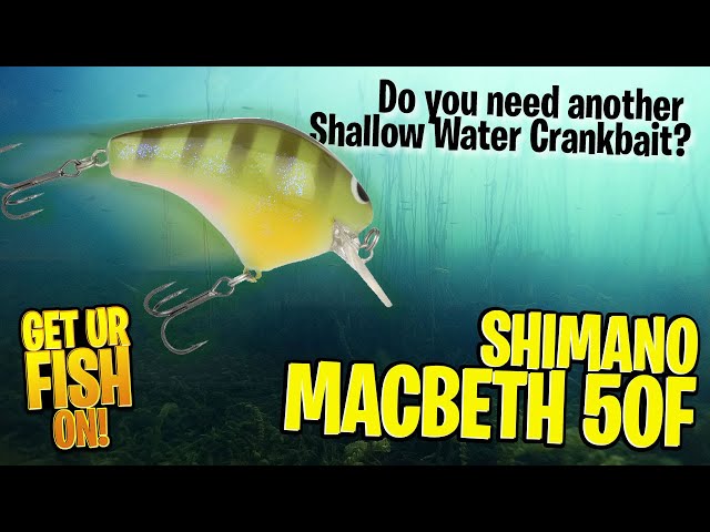 The AMAZING Shimano MB50F Macbeth Shallow Water Bass Fishing Crank Bait