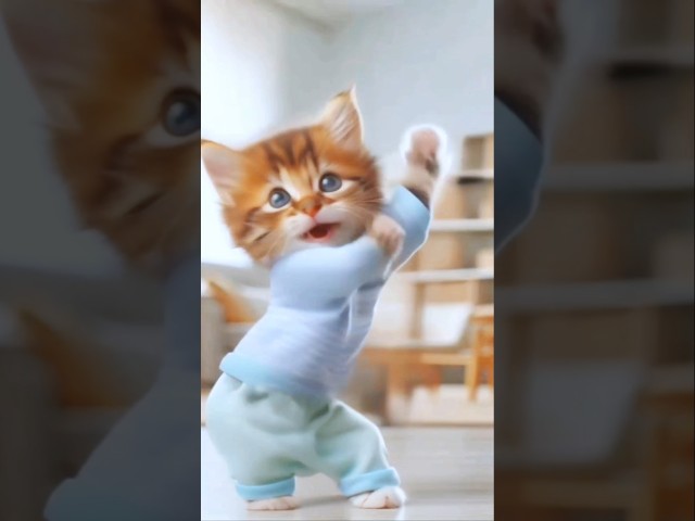 Cute Cat Dance😻 #cutecat #funnycats #catdance