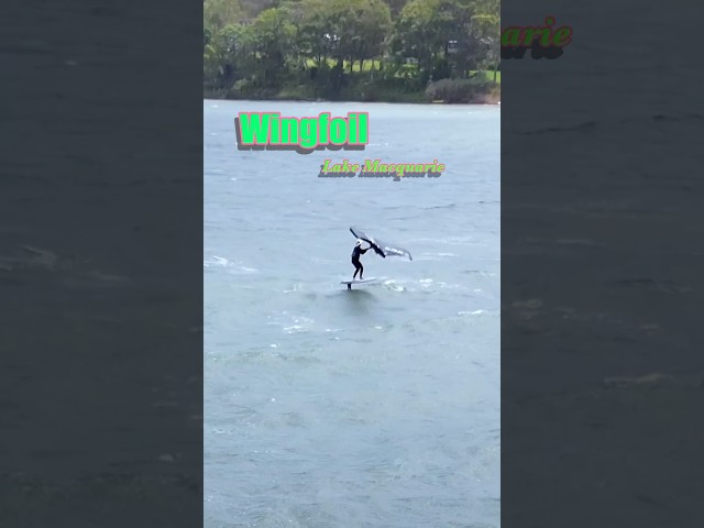 Wingfoil Lake Macquarie Epic crash at the end! Drone footage Wingding #wingfoil #wingfoiling