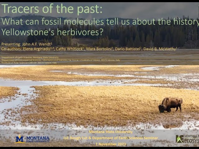 Tracers of the past: What can fossil molecules tell us about the history of Yellowstone's herbivores