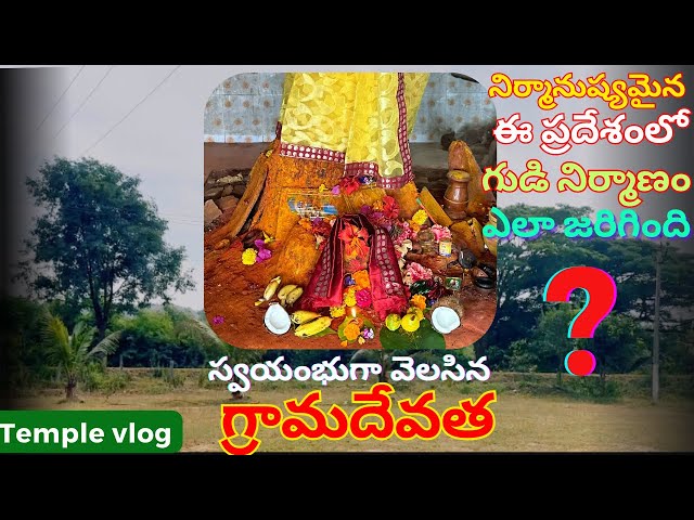 మా వూరి గ్రామదేవత విశేషాలు 🙏 | temple vlog | Devotional video | padmam muggu | grama devata