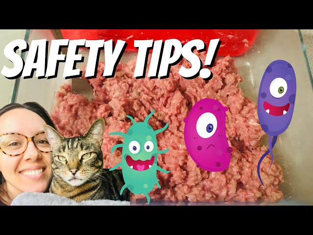 Beginner tips- avoid bacteria in raw cat food