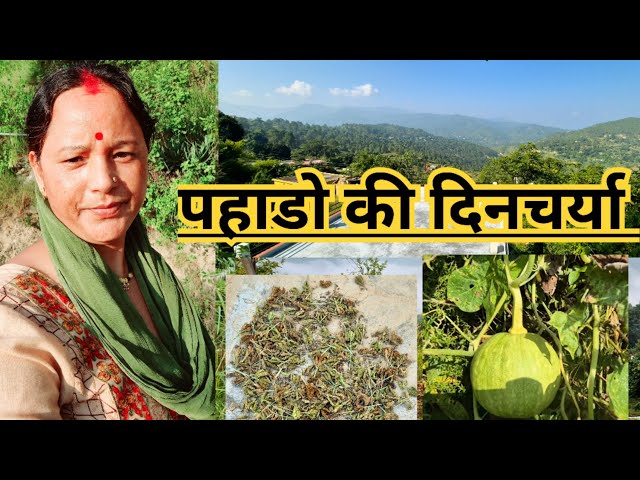 💁‍♀️गाँव में हमारी आज की दिनचर्या |❤️Pahadi Village Life |Pahadi lifestyle vlog| Prema kuwarbi vlogs