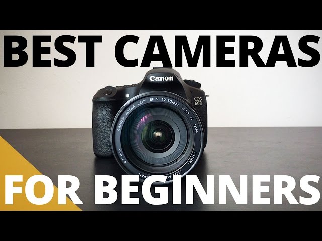 Best Cameras For Beginners: Which One is Best for You?