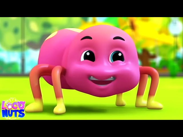 Incy Wincy Spider - Sing Along | Nursery Rhymes and Baby Songs | Children Rhymes With Loco Nuts