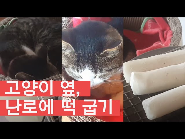 Let's bake rice cake on the stove next to the cat, sleep video, natural video, white noise, ASMR, 