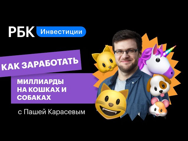 Как заработать на котах и собаках: PetTech-стартапы, BarkBox, Animo, PupPod // Верхом на единороге