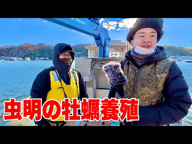 岡山【虫明の大ぶりの牡蠣の養殖 】３年モノの大きな牡蠣！蒸し焼きや鍋料理などで大人気！