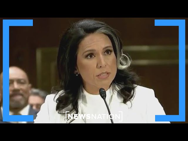 Trump Cabinet: Big week for Gabbard, Bondi and RFK Jr. | Morning in America