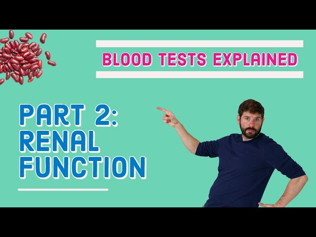 Renal Kidney Function Blood Test - What does it mean? (U&E, biochem)