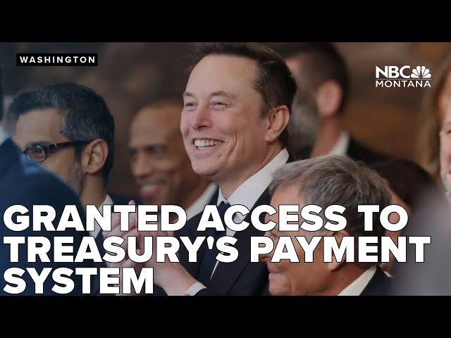 Elon Musk granted access to Treasury's payment system. Why?