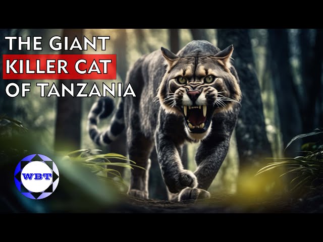 The Nunda: The Giant Killer Cat of Tanzania