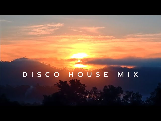 DISCO HOUSE mix | PURPLE DISCO MACHINE, Jamiroquai, The Shapeshifters