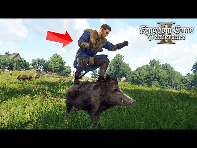 Kingdom Come Deliverance 2 - TOP 100 WTF & FUNNY Moments