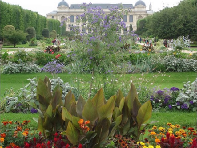 La nature en musique