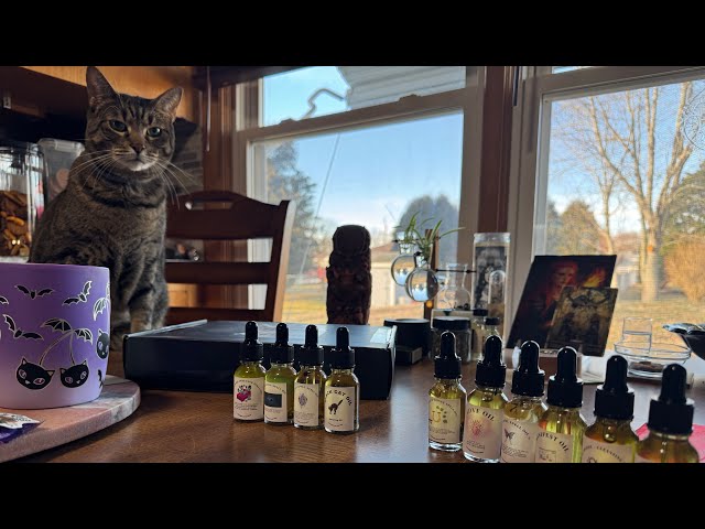 Moonlight and Sage Shop ~ unboxing Spelled oils