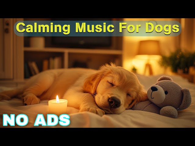 12 HOURS of Dog Calming Music For Dogs🎵💖Anti Separation Anxiety Relief Music🐶Sleep dog Healing🎵