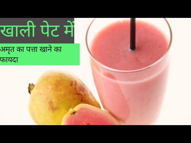 Khali pet Amrit ka pata khane Se Kya hota Hai | benefits of Guava lives