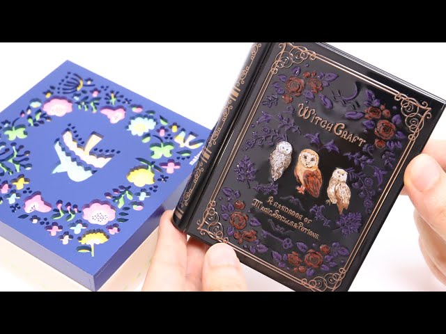 Mini Magic Book Crunch Chocolate Tin and Spring Bird Cookies Wooden Box Japanese Souvenir