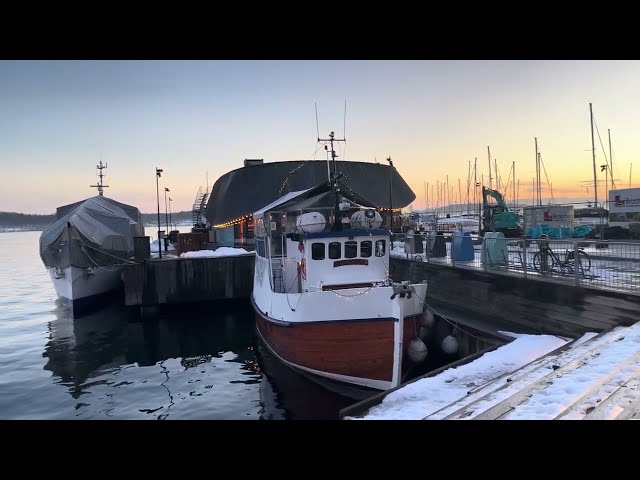 4K Walking Tour of Oslo | Cruise Ships Coming & Going | Top Place to Visit in Norway