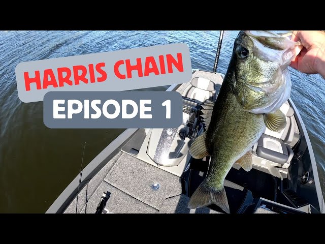 Learning How to Fish The Harris Chain - Episode 1