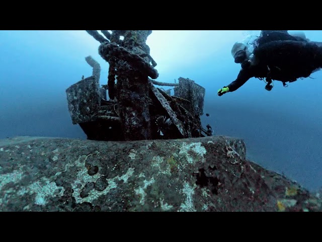 Deep Wreck, Shark Dive - Scuba Diving Grenada