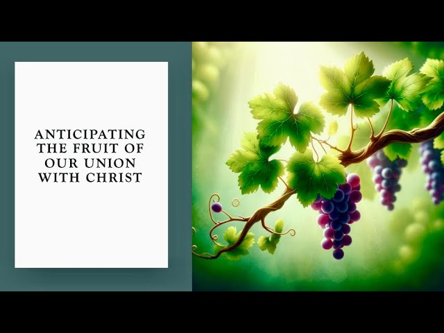 Anticipating The Fruit of Our Union With Christ | Spiritual Growth | Life As God Intended