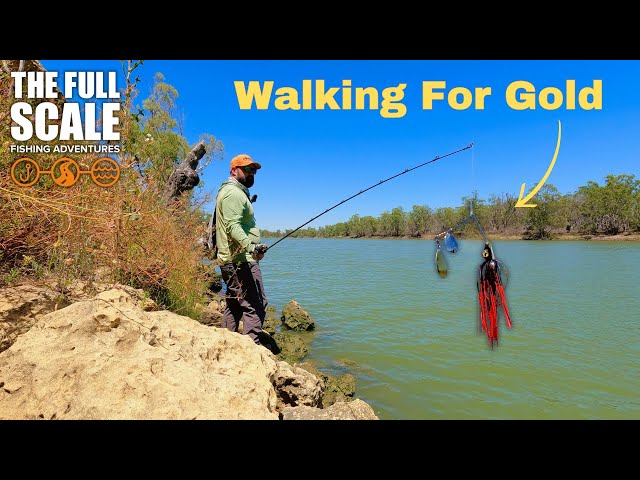 Walking For Gold | The Full Scale