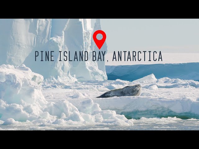 Pine Island Bay, Antarctica 4K