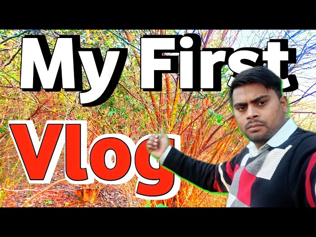 my first vlog 🌺|| my first vlog todey || my first vlog 2024 || first video #harvindvlog