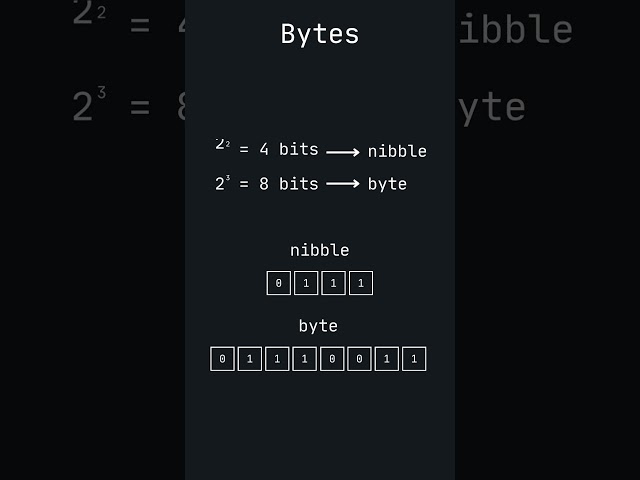 Bits and Bytes