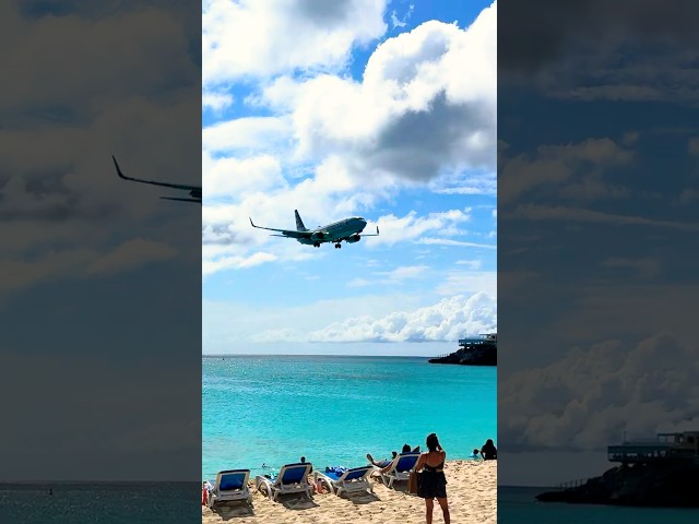 American Airlines Airplane Closeups at Maho Beach #aviation #planespotting #aircraft #bestairlines