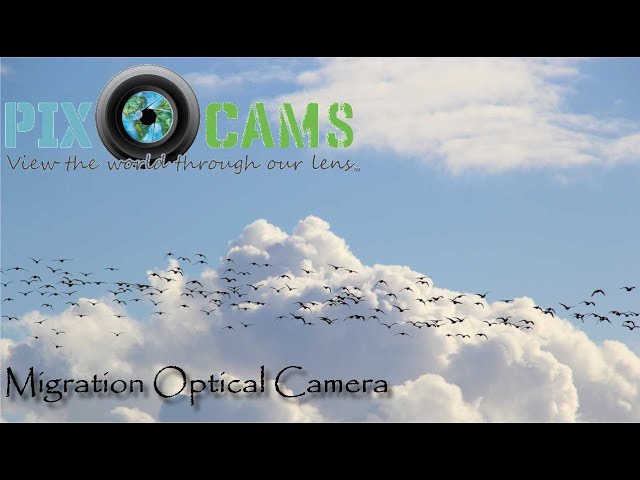 PixCams.com Migration Optical Camera