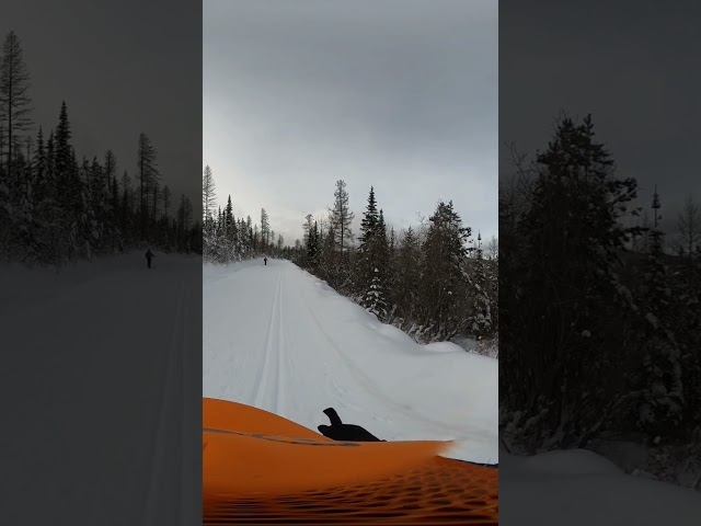 Skiing on Blacktail Mountain Nordic Ski Trails, near Lakeside, Montana. #mountains #montana #snow