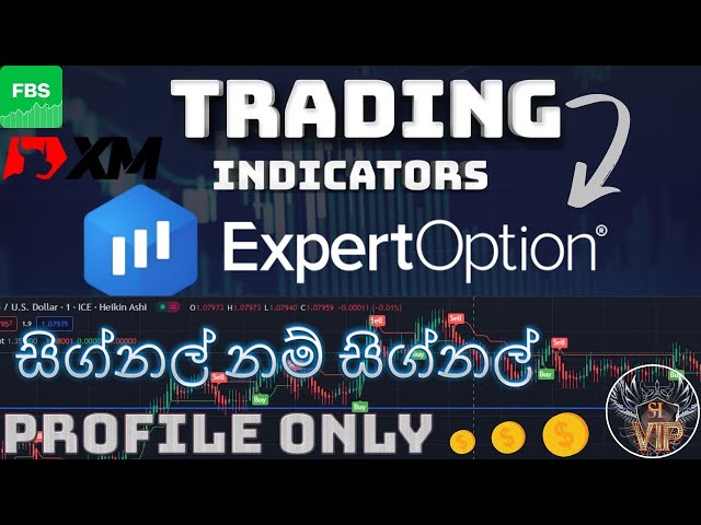 Expert Option Strategy | expert option | tradingview best indicators srilanka | 2023-05-19